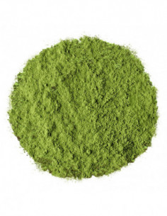 Organic Matcha - Doypack 100g