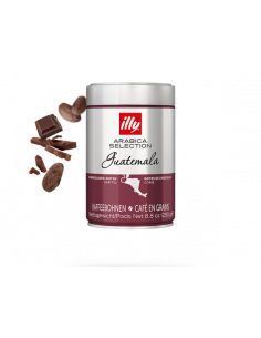 Arabica Selection Guatemala Coffee Beans 250g tin