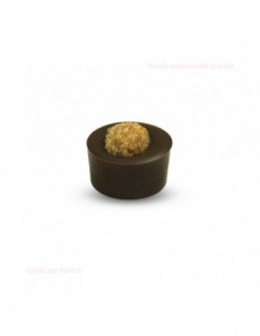 Chocolate praline noisette noir (100g)