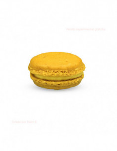 Macaron mangue passion (1 uni)